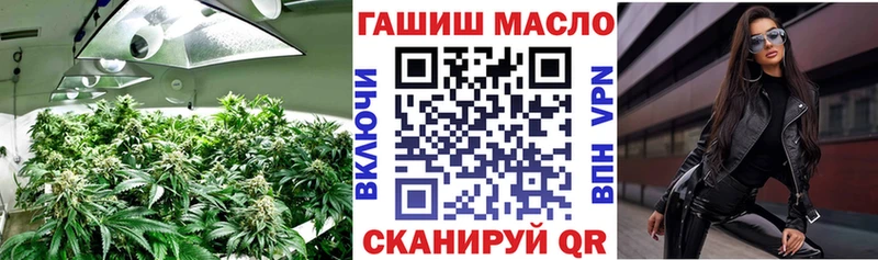 где купить   Лосино-Петровский  кракен   Дистиллят ТГК гашишное масло 
