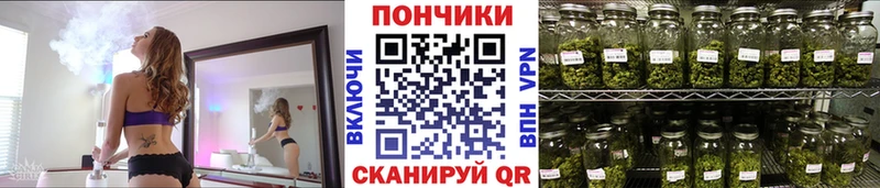 Конопля семена  дарнет шоп  Лосино-Петровский 